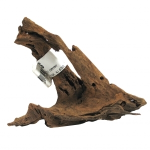 Malaysian Driftwood