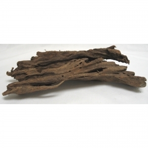 Malaysian Driftwood