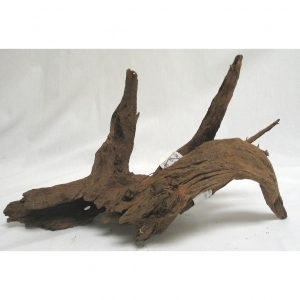 Malaysian Driftwood