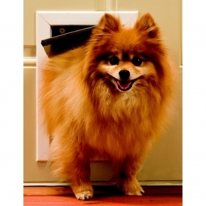 Freedom Aluminum Pet Door White Small