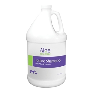 Aloe Iodine Shampoo 1 Gallon