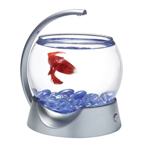 Betta Bowl Silver