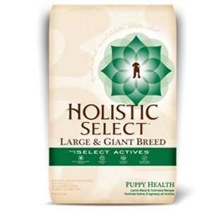 Holistic Select Large & Giant Breed Puppy Health Lamb Meal & Oatmeal Dry Puppy Food
