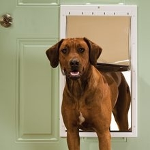 PLASTIC PET DOOR