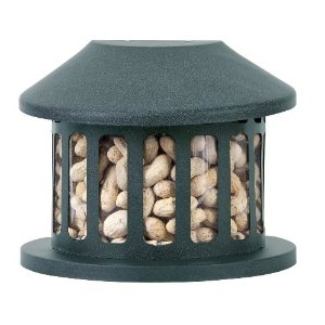 Squirrel Diner Feeder Medium