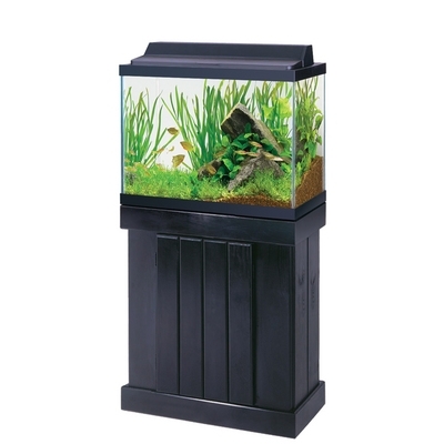 24” Classic Pine Stand & Canopy Black