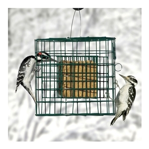 Hanging Suet Sanctuary Green