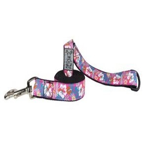 RC Pet Leashes 