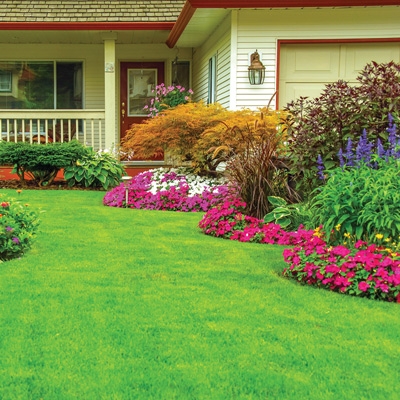 Lawn & Garden