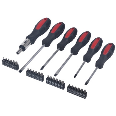 30PC SCREWDRIVER & BITS SET
