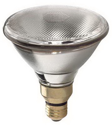 Halogen Floodlight Bulb, Indoor/Outdoor,  38-Watt,
