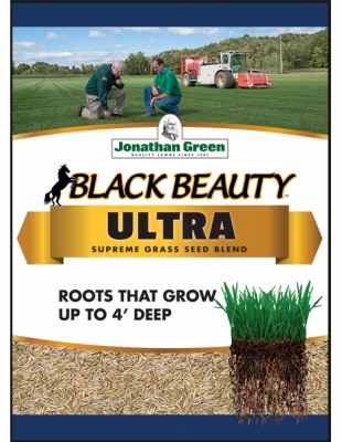 Black Beauty 25-Lb. 10,000-Sq. Ft. Ultra Grass Seed