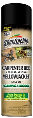 Carpenter Bee and Yellowjacket Killer, 16-oz. Foaming Aerosol