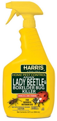 Asian Lady Beetle & Box Elder Bug Killer, 32-oz.