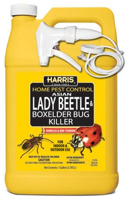 Asian Lady Beetle & Box Elder Bug Killer, 1-Gal.