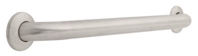 Bath Assist Bar, Stainless Steel, 24-In.