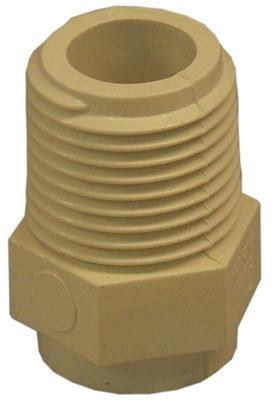 CPVC Male Pipe Thread Adapter, 0.5-In.
