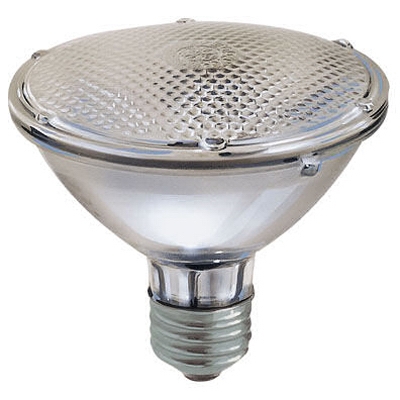 Flood Light Bulb, Halogen, Short Neck, Indoor, Par 30, 38-Watt