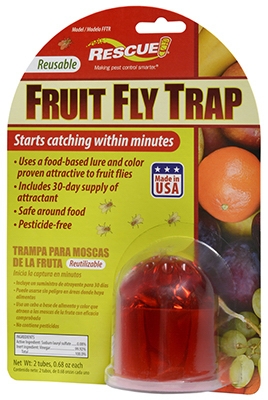 Fruit Fly Trap