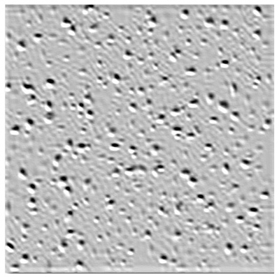 Radar R2110 Acoustical Ceiling Panels