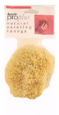 ProPlus Medium Texture Painting Sponge