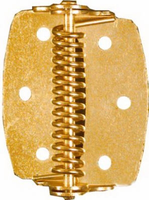 Spring Hinge, Brass, 2-In., 2-Pk.