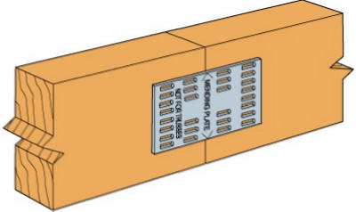Mending Plate, 2 x 4-In.