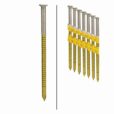 Framing Nails, Plastic Strip, Ring Shank, Hot-Dipped Galvanized, 3-In. x .120, 4,000-Ct.