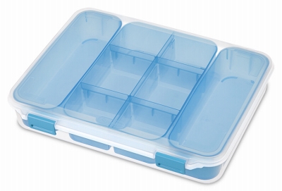Divider Case, Clear/Blue
