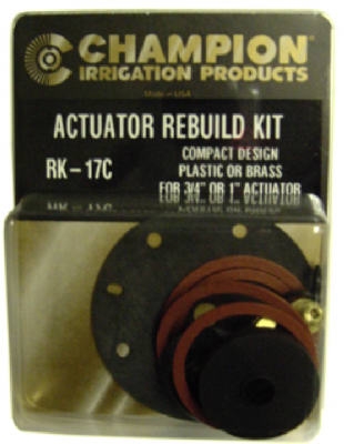 Actuator Rebuilding Kit