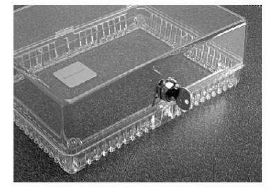Thermostat Guard