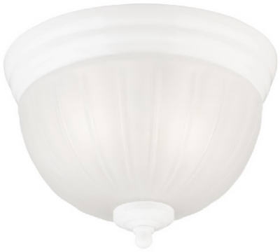 2-Light Ceiling Fixture