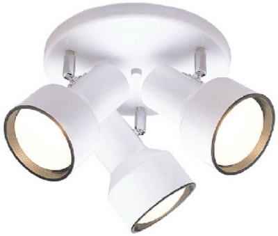 3-Light Ceiling Fixture