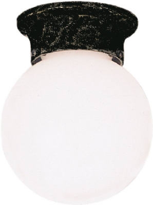 60-Watt Black Porch Light