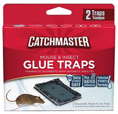 Mouse/Insect Glue Trap, 2-Pk.