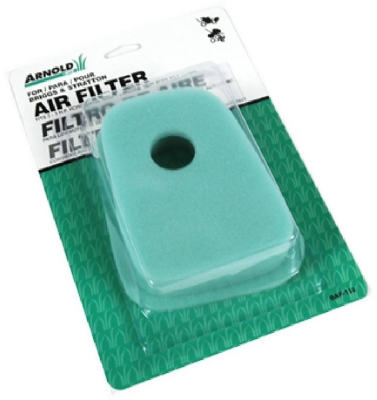 Briggs Air Filter