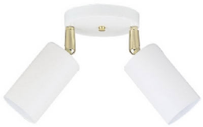 2-Light Multi-Directional Ceiling Fixture