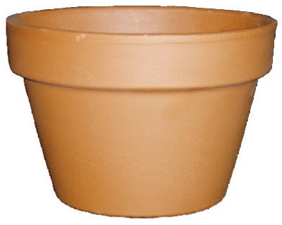 8-Inch Azalea Terra Cotta Clay Pot