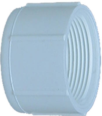Pipe Cap Slip, White PVC, 1-In.
