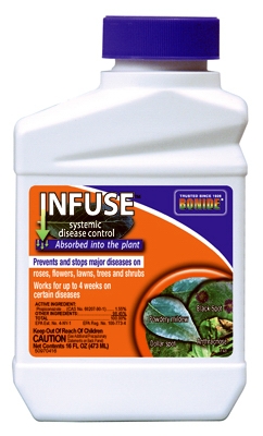 Infuse Systemic Plant Fungicide, 1-Pt.