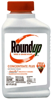 Weed & Grass Killer Concentrate, 1-Pt.