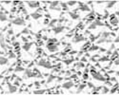 Cracked Ice Ceiling Lighting Panel, Acrylic, Clear, 2 x 4-Ft.