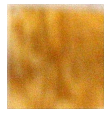 2x2 3/4 inchBC Pine Plywood