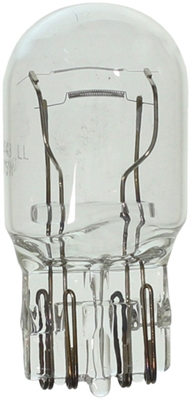 Long Life 12V Miniature Lamp