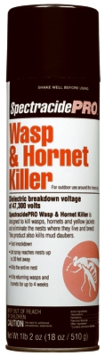 Wasp/Hornet Spray, 18-oz.