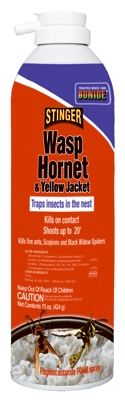 Hornet/Wasp Killer, 15-oz.