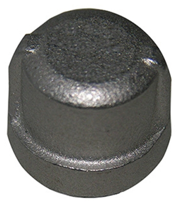 1/4 inch SS Pipe Cap