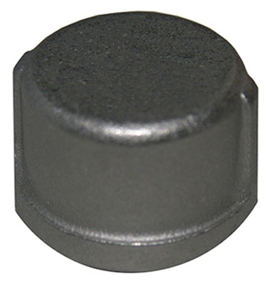 1/2 inch SS Pipe Cap