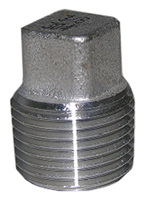 1/4 inch SS Pipe Plug