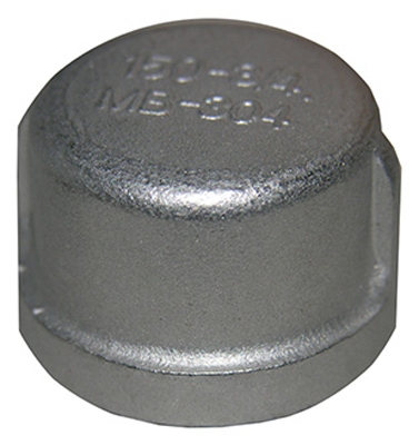 3/4 inch SS Pipe Cap